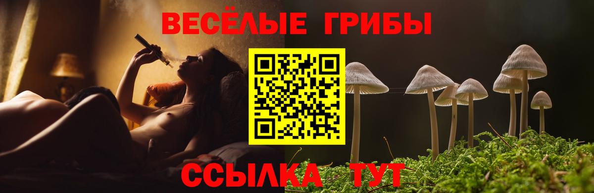 Отрадное  Псилоцибиновые грибы MAGIC MUSHROOMS  Вход с VPN 